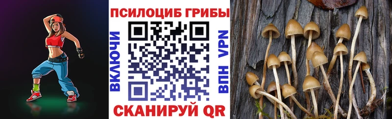 как найти Новоуральск мега рабочий сайт Галлюциногенные грибы GOLDEN TEACHER